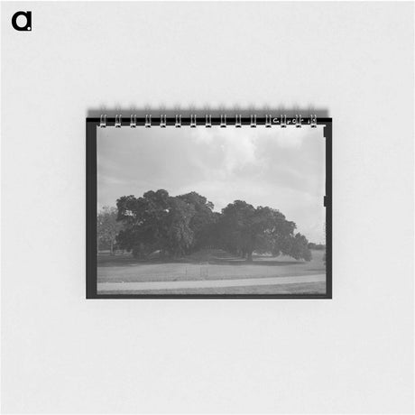アートメモ帳-Oak Alley
 - ラッセル リー Memo.
