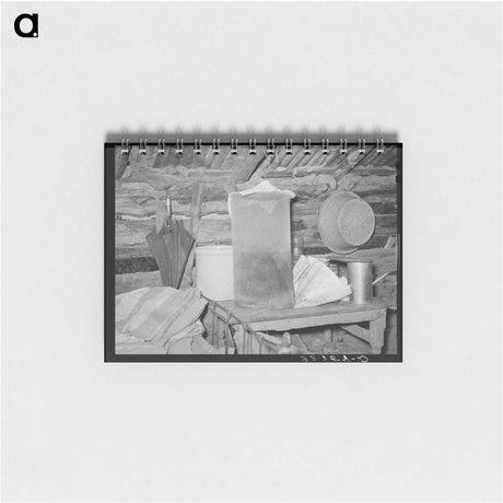 アートメモ帳-Flytrap and Belongings
 - ラッセル リー Memo.