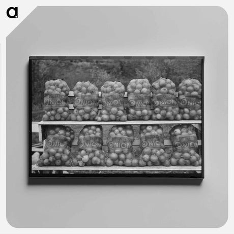 アートパネル-Onions at Market
 - ラッセル リー Canvas.