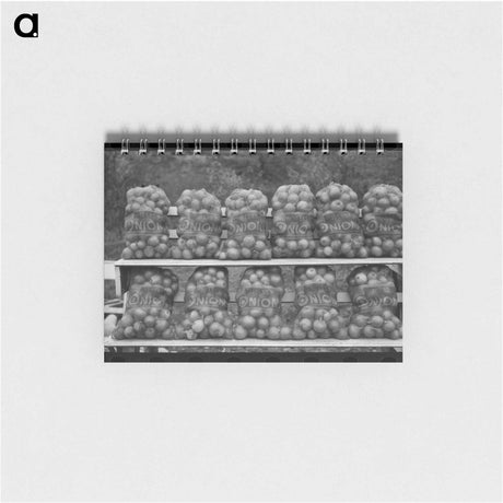 アートメモ帳-Onions at Market
 - ラッセル リー Memo.