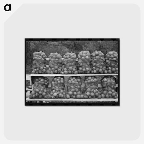 アートポストカード-Onions at Market
 - ラッセル リー Postcard.