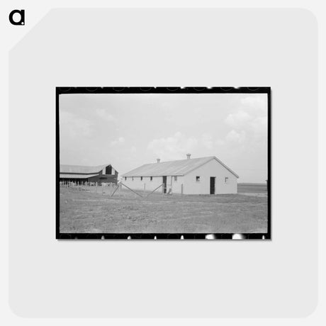 アートポストカード-Dairy Barns, Lake Dick Project
 - ラッセル リー Postcard.