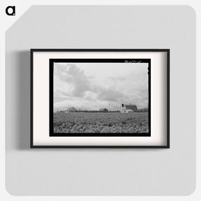 アートポスター-Farmsteads on Boundary Farms
 - ラッセル リー Poster.