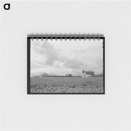 アートメモ帳-Farmsteads on Boundary Farms
 - ラッセル リー Memo.