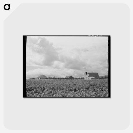 アートポストカード-Farmsteads on Boundary Farms
 - ラッセル リー Postcard.