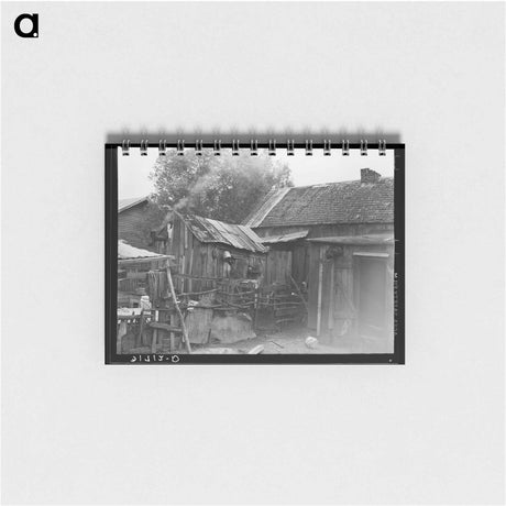 アートメモ帳-Backyard of Home, Norco
 - ラッセル リー Memo.