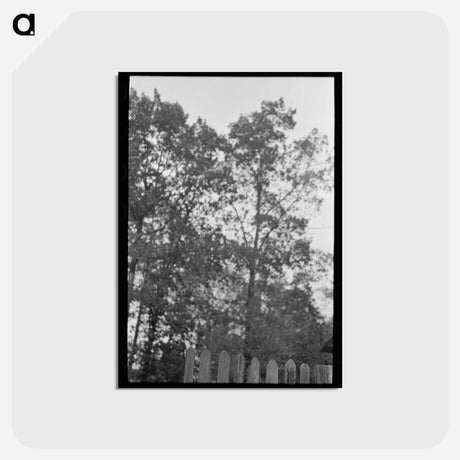 アートポストカード-Cut-Over Farmer
 - ラッセル リー Postcard.