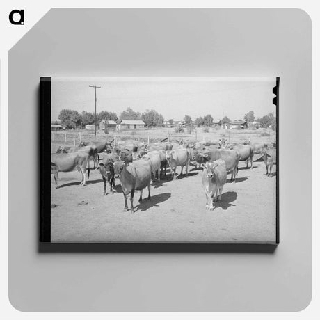 アートパネル-Arizona Dairy Herd
 - ラッセル リー Canvas.