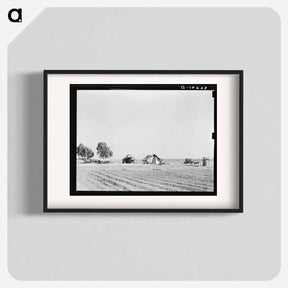 アートポスター-Farmstead Near Edinburg, Texas
 - ラッセル リー Poster.