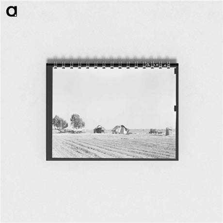アートメモ帳-Farmstead Near Edinburg, Texas
 - ラッセル リー Memo.