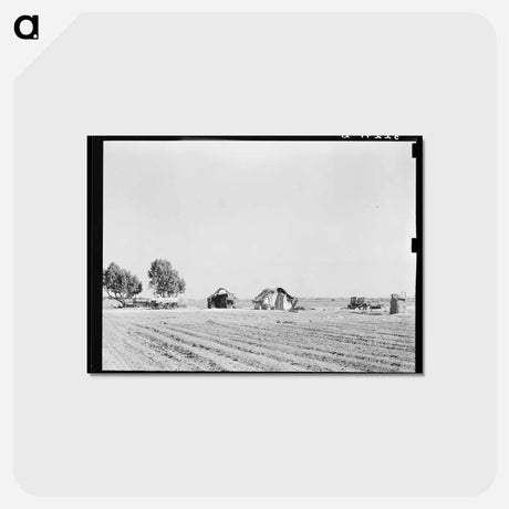 アートポストカード-Farmstead Near Edinburg, Texas
 - ラッセル リー Postcard.