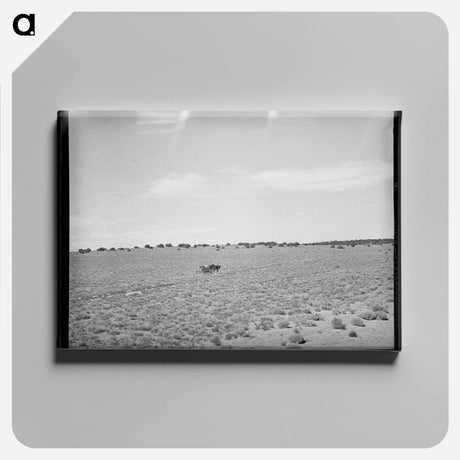 アートパネル-Hauling Water Home
 - ラッセル リー Canvas.