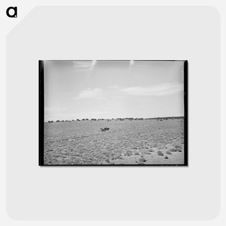 アートポストカード-Hauling Water Home
 - ラッセル リー Postcard.