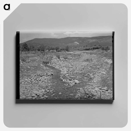 アートパネル-Chamisal Creek
 - ラッセル リー Canvas.