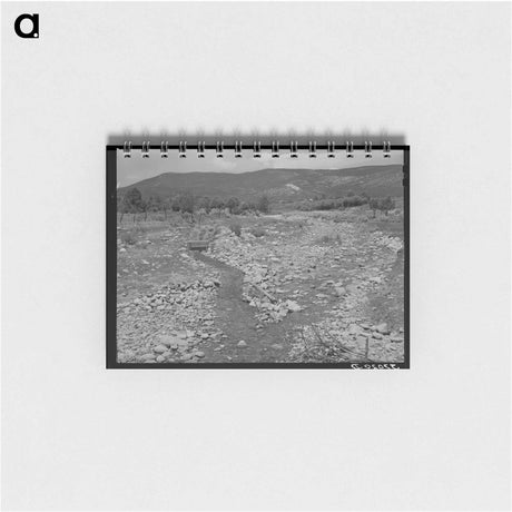 アートメモ帳-Chamisal Creek
 - ラッセル リー Memo.