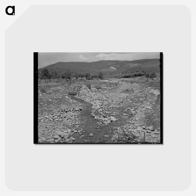 アートポストカード-Chamisal Creek
 - ラッセル リー Postcard.