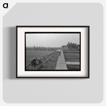 Pilottown Boardwalks
 - ラッセル リー Poster.