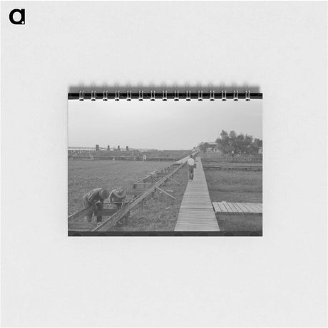 アートメモ帳-Pilottown Boardwalks
 - ラッセル リー Memo.