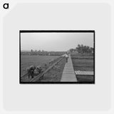 アートポストカード-Pilottown Boardwalks
 - ラッセル リー Postcard.
