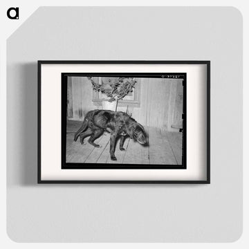 Last Legs
 - ラッセル リー Poster.