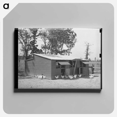 アートパネル-Sabine Farms Chicken House
 - ラッセル リー Canvas.