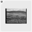 アートポストカード-Llano de San Juan, New Mexico
 - ラッセル リー Postcard.