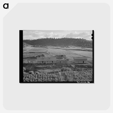 アートポストカード-Llano de San Juan, New Mexico
 - ラッセル リー Postcard.