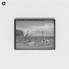 アートメモ帳-Hop Field, Yakima County
 - ラッセル リー Memo.