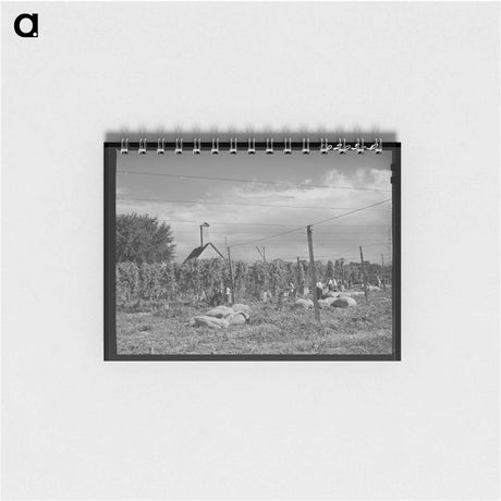 アートメモ帳-Hop Field, Yakima County
 - ラッセル リー Memo.