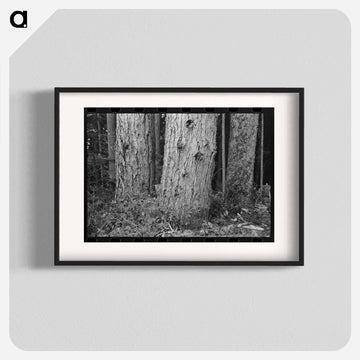 Long Bell Lumber Company Trees
 - ラッセル リー Poster.