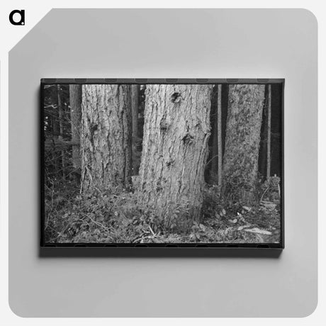 アートパネル-Long Bell Lumber Company Trees
 - ラッセル リー Canvas.