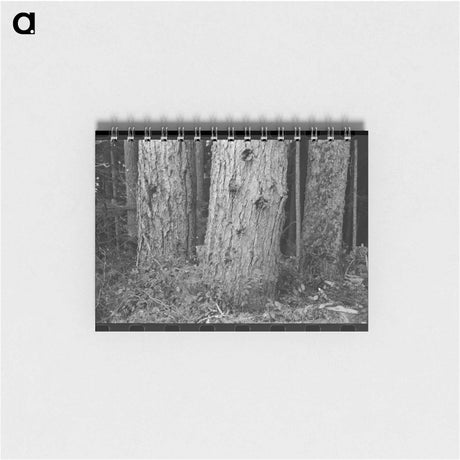 アートメモ帳-Long Bell Lumber Company Trees
 - ラッセル リー Memo.