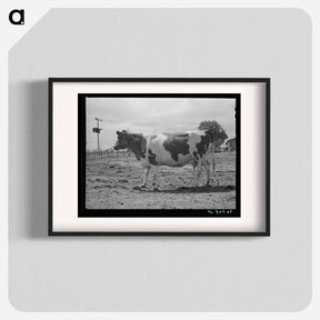アートポスター-Guernsey Cow at Casa Grande Valley Farms
 - ラッセル リー Poster.