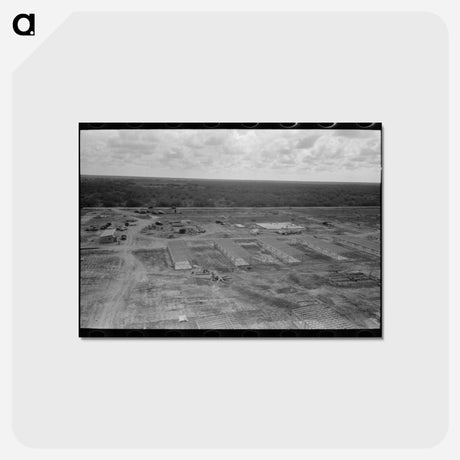 アートポストカード-Migrant Camp, Sinton, Texas
 - ラッセル リー Postcard.