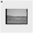 アートポストカード-Harrowing the Field
 - ラッセル リー Postcard.
