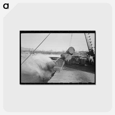アートポストカード-Rolling Logs, Tillamook
 - ラッセル リー Postcard.