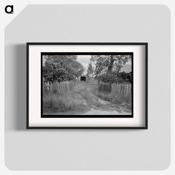 Driveway, Paulina, Louisiana
 - ラッセル リー Poster.