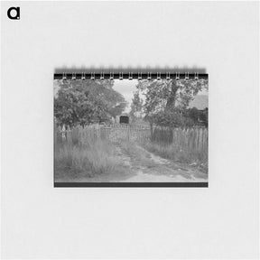 アートメモ帳-Driveway, Paulina, Louisiana
 - ラッセル リー Memo.