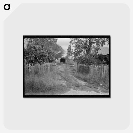 アートポストカード-Driveway, Paulina, Louisiana
 - ラッセル リー Postcard.