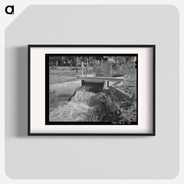 Arizona Irrigation
 - ラッセル リー Poster.