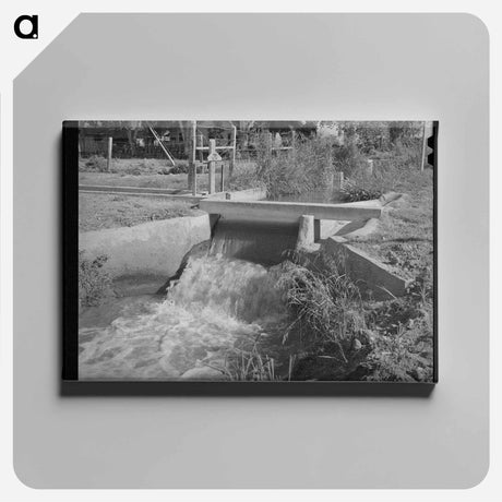 アートパネル-Arizona Irrigation
 - ラッセル リー Canvas.