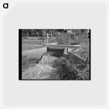 アートポストカード-Arizona Irrigation
 - ラッセル リー Postcard.