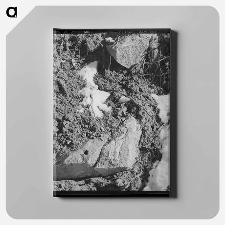 アートパネル-Melting Snow, Bernalillo County
 - ラッセル リー Canvas.