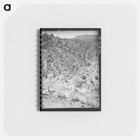 アートメモ帳-Carrizo Creek, Arizona
 - ラッセル リー Memo.