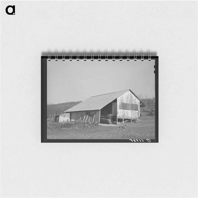 アートメモ帳-Placer County Packing Shed
 - ラッセル リー Memo.