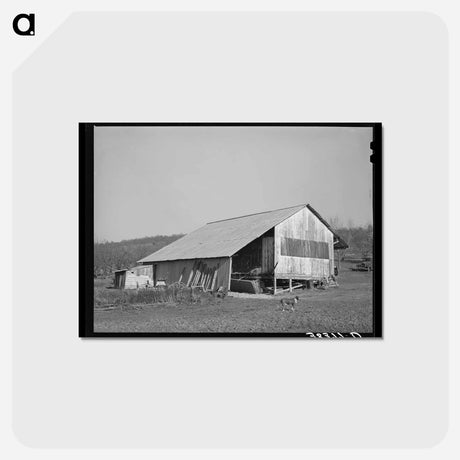 アートポストカード-Placer County Packing Shed
 - ラッセル リー Postcard.
