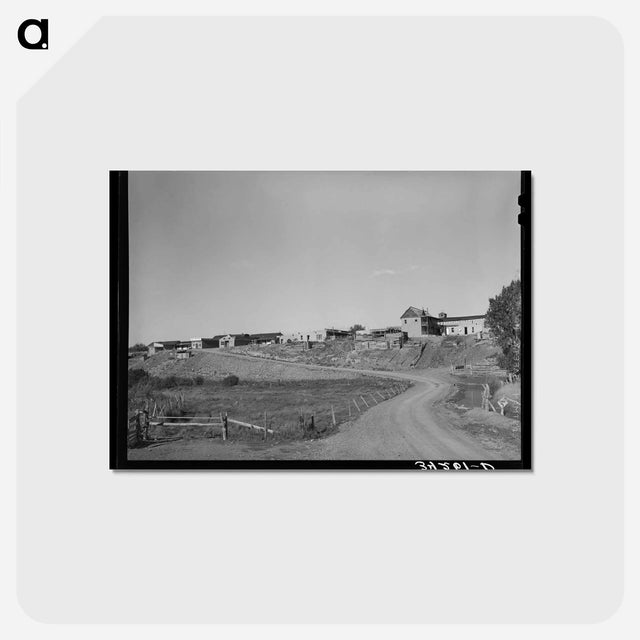 アートポストカード-Questa, New Mexico
 - ラッセル リー Postcard.