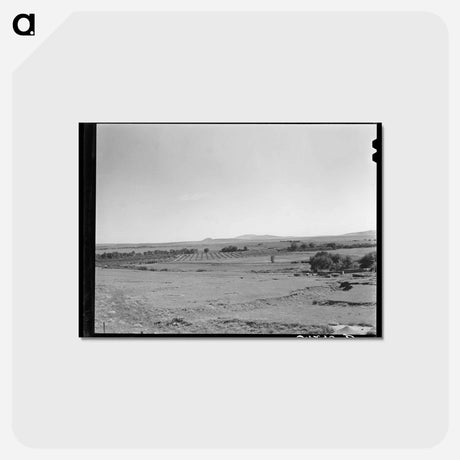 アートポストカード-Orchard in Mora River Valley
 - ラッセル リー Postcard.