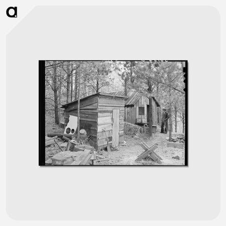 アートポストカード-Shack of Old Gold Prospector
 - ラッセル リー Postcard.