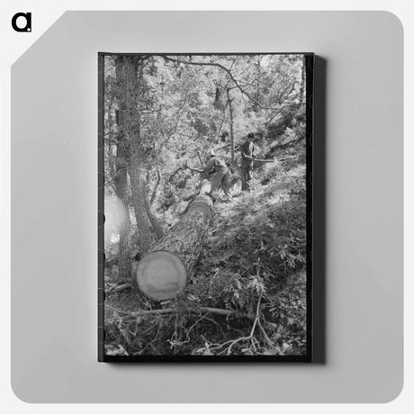 アートパネル-Felled Tree Logs
 - ラッセル リー Canvas.